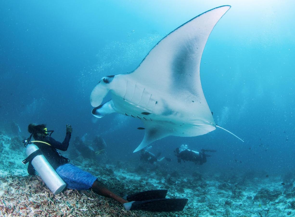 South Ari Dive Center Hotel Dhangethi Esterno foto