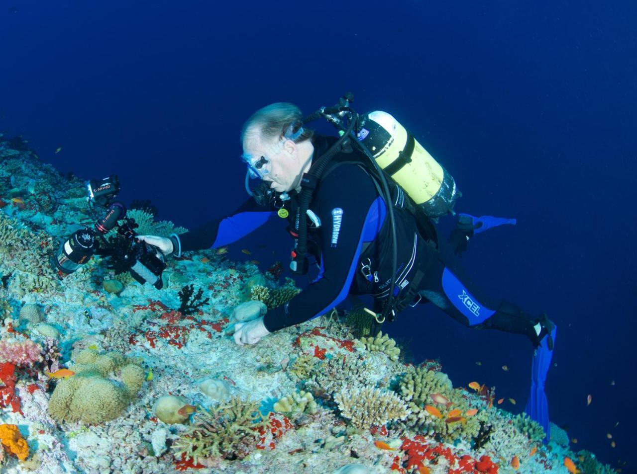 South Ari Dive Center Hotel Dhangethi Esterno foto