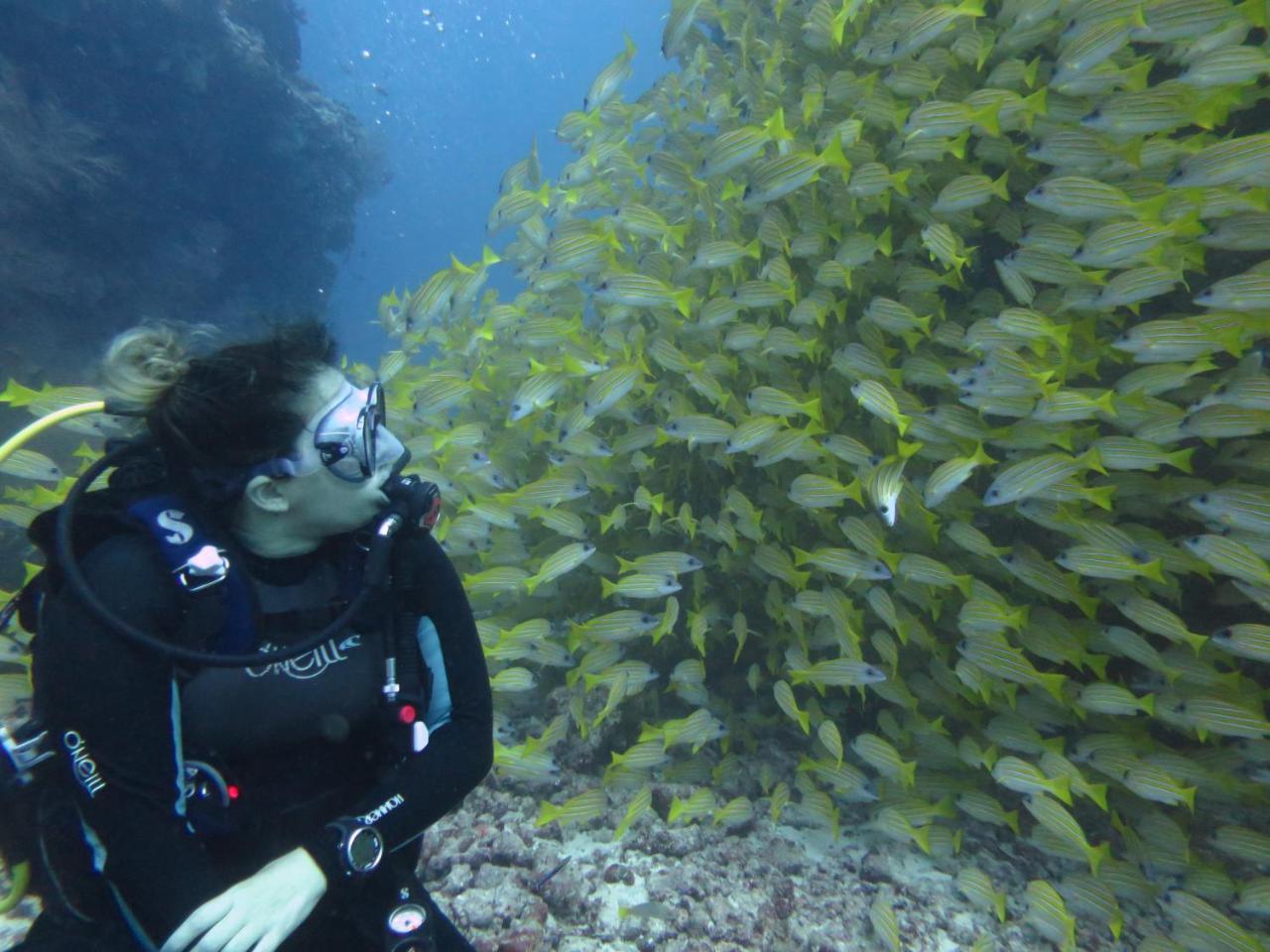 South Ari Dive Center Hotel Dhangethi Esterno foto