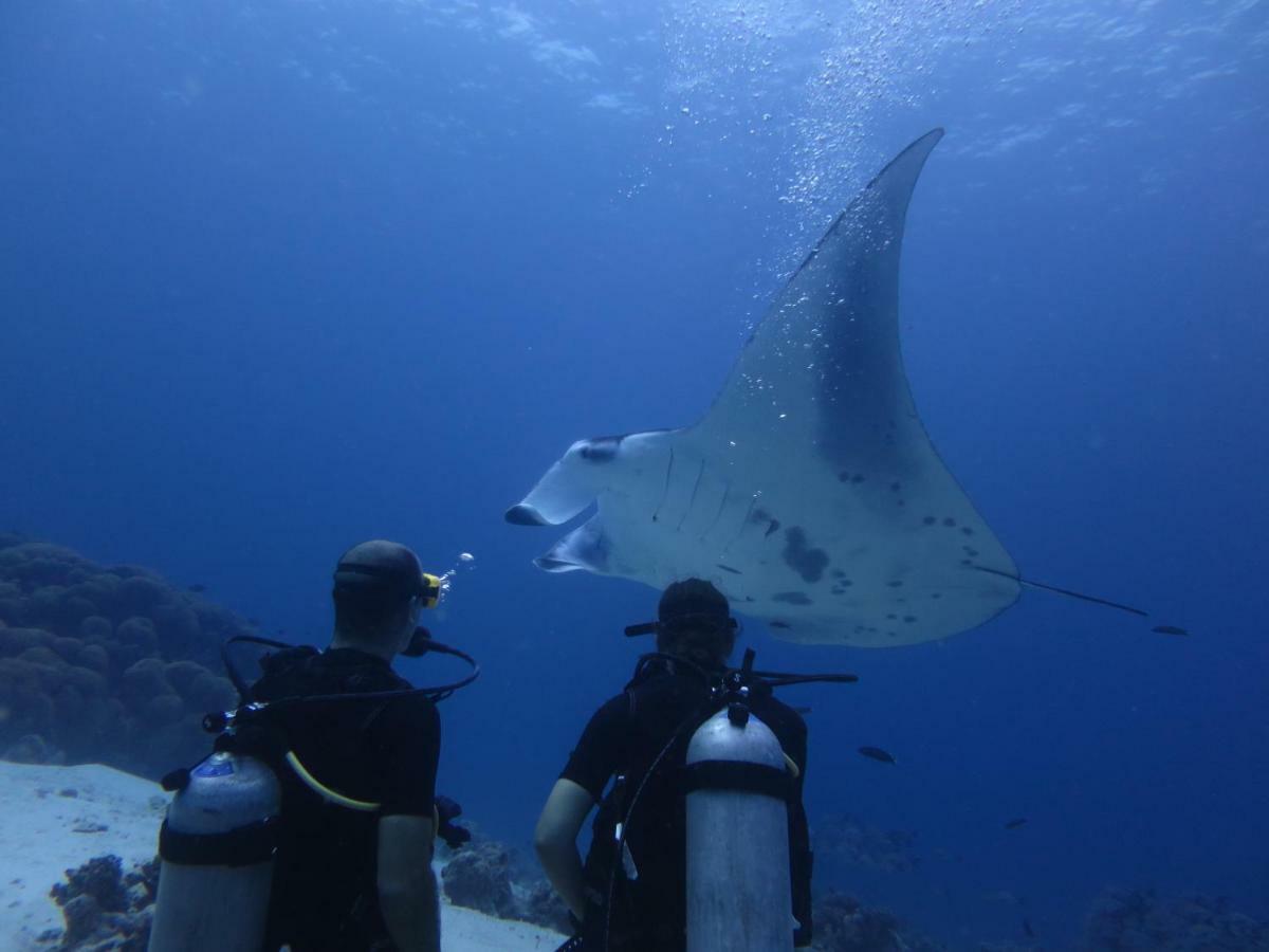 South Ari Dive Center Hotel Dhangethi Esterno foto